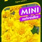 9540_aksamitník-SAFARI-YELLOW_MINI-2