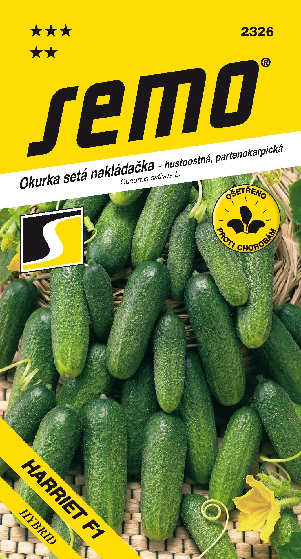 2326_okurka-nakl.hustoost.-HARRIET-F1-1