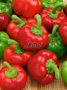 2547-semo-zelenina-paprika-rocni-tamina2