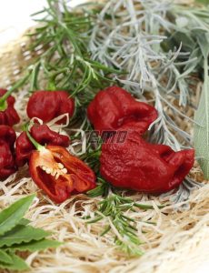 2570-semo-zelenina-paprika-rocni-carolina-reaper-2