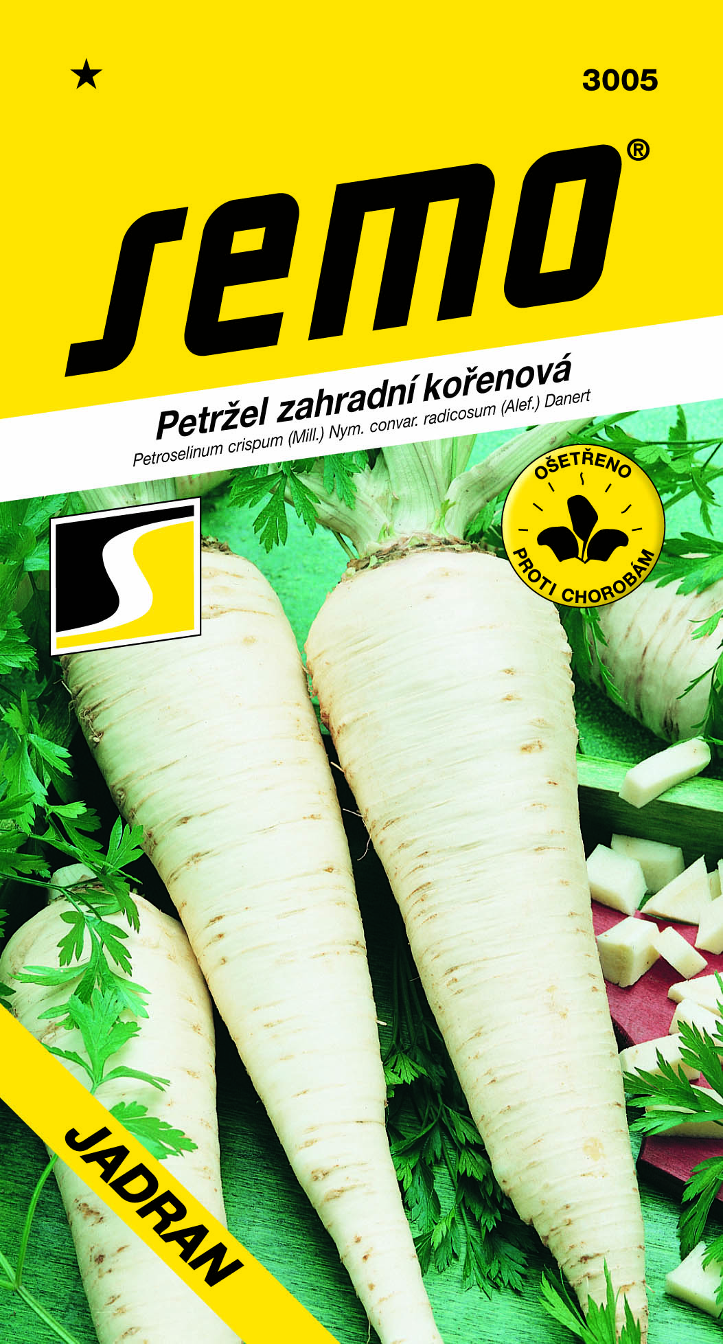 3005_petržel-JADRAN-2