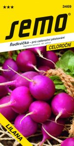 3469_Ředkvička-LILANA-2