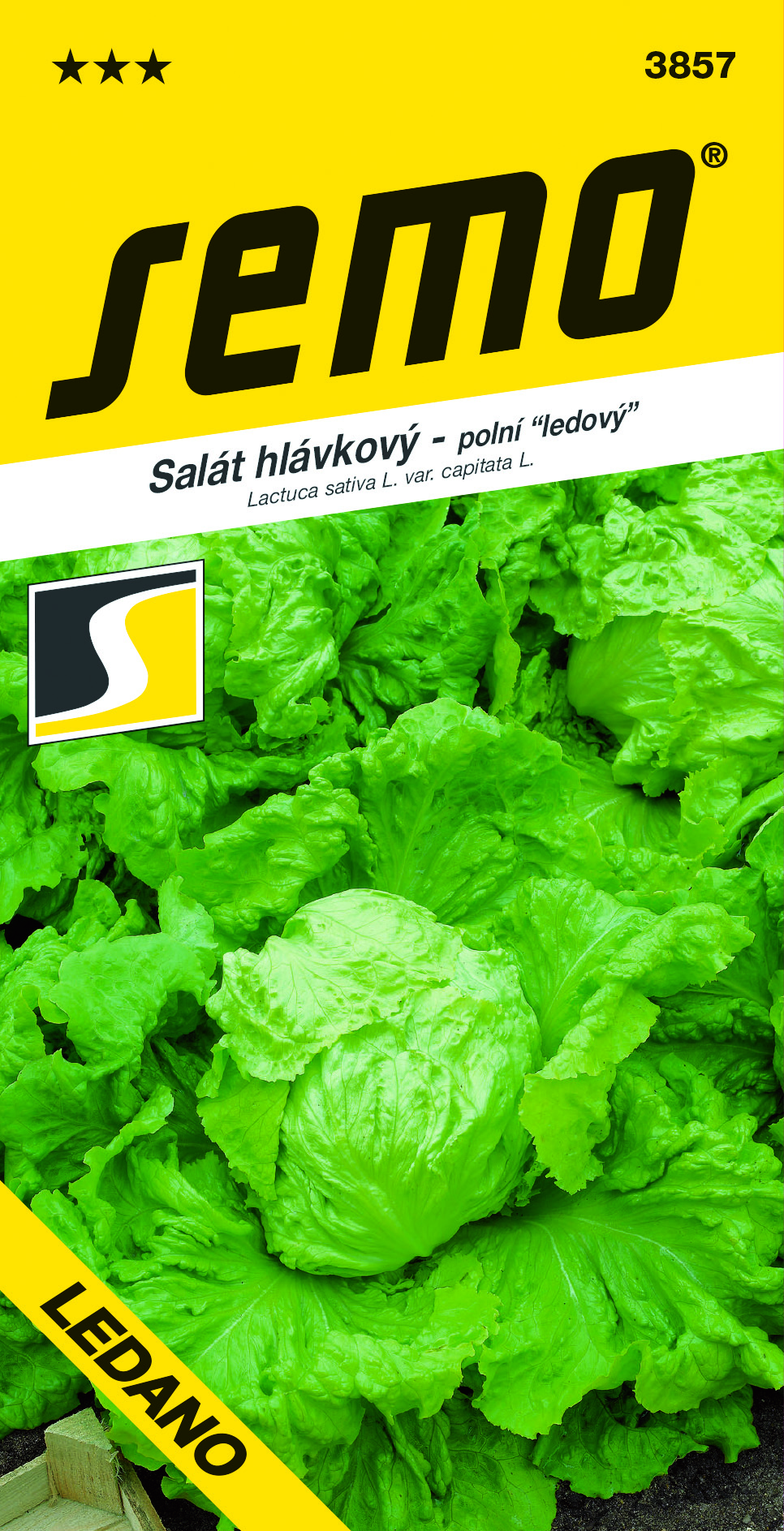 3857_salát-hlávkový-LEDANO-1