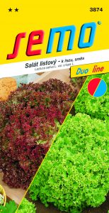 3874_salát-listový-SMĚS-LOLO_DUO-2