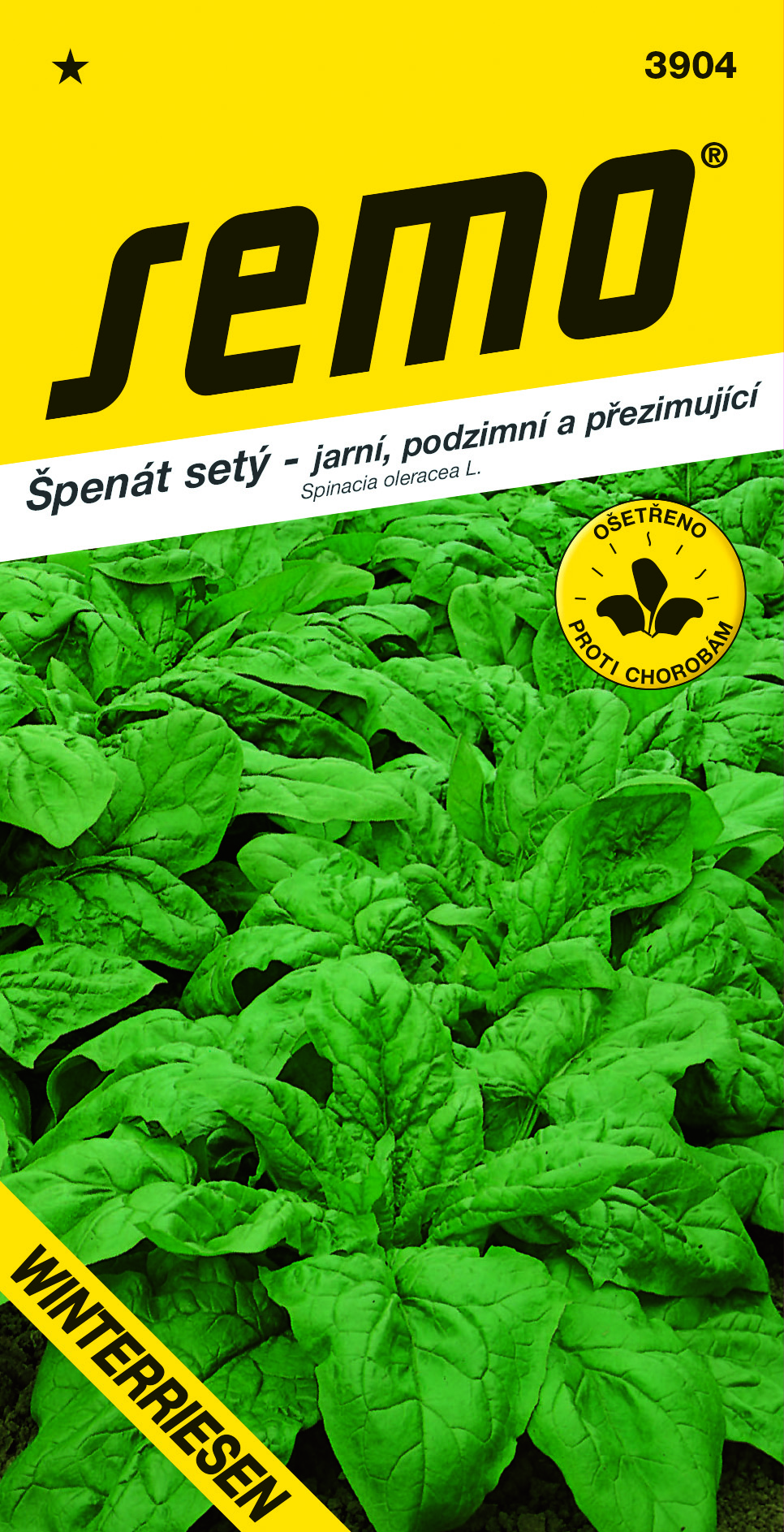 3904-špenát-WINTERRIESEN-1.CS-export-3