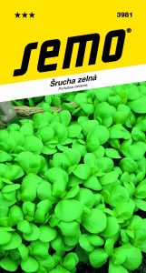 3981_šrucha-GREEN-PURSLANE-2