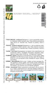 4001-1