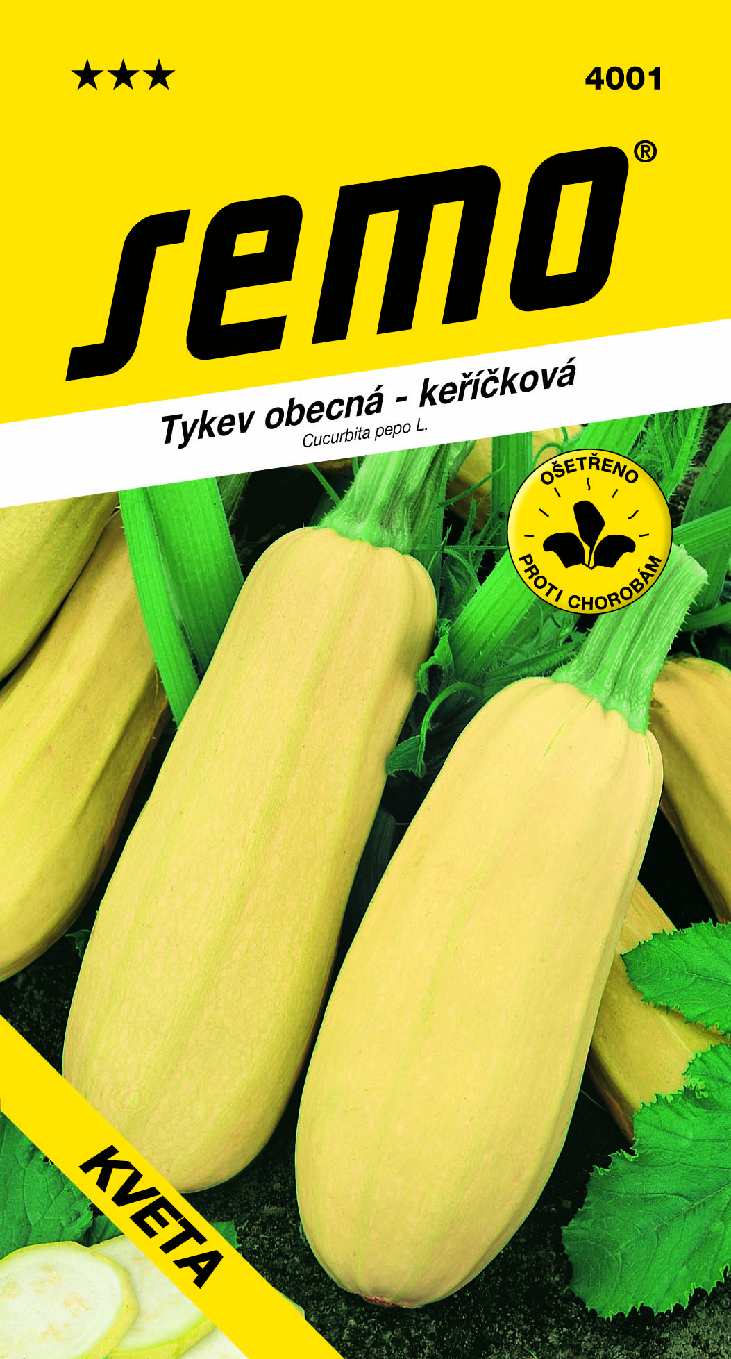 4001_tykev-KVETA-3