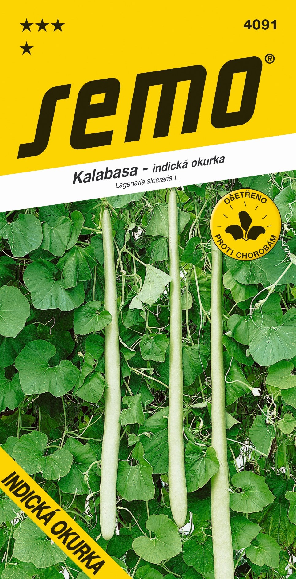 4091_kalabasa-KALABASA-2