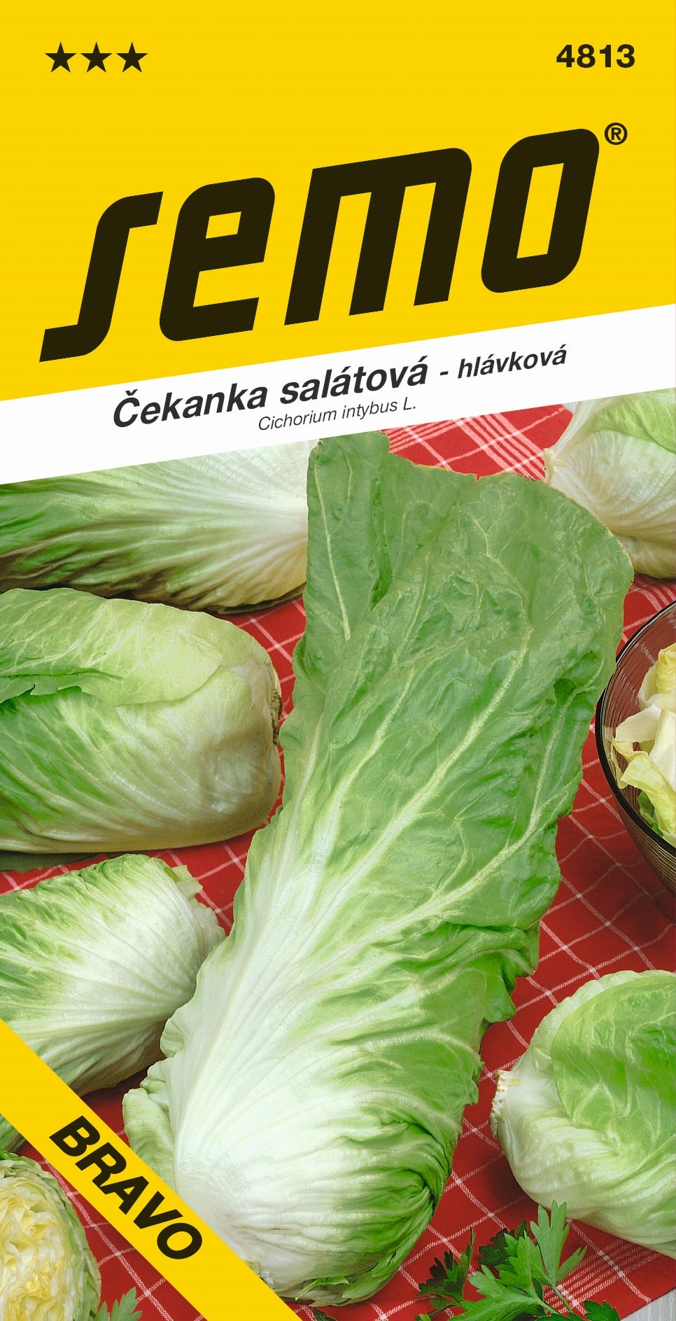 4813_čekanka-sal.-PAN-DI-ZUCCHERO-BRAVO-1-2