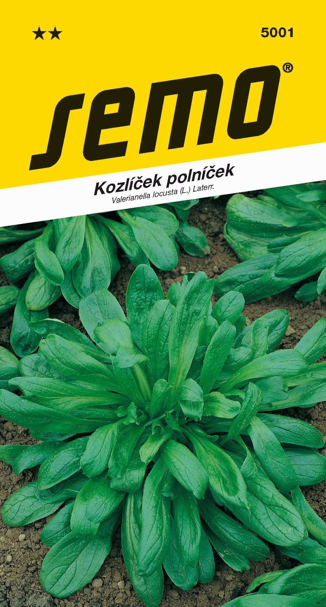 5001_kozlíček-LARGED-LEAVED-1