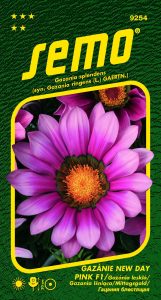 9254_gazánie-NEW-DAY-PINK-F1-2