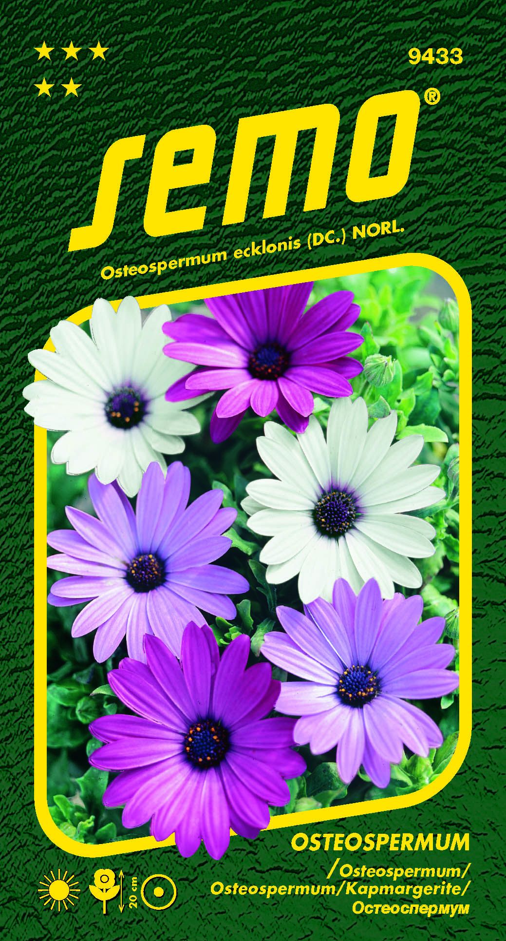 9433_osteospermum-BALADE-MIX-2