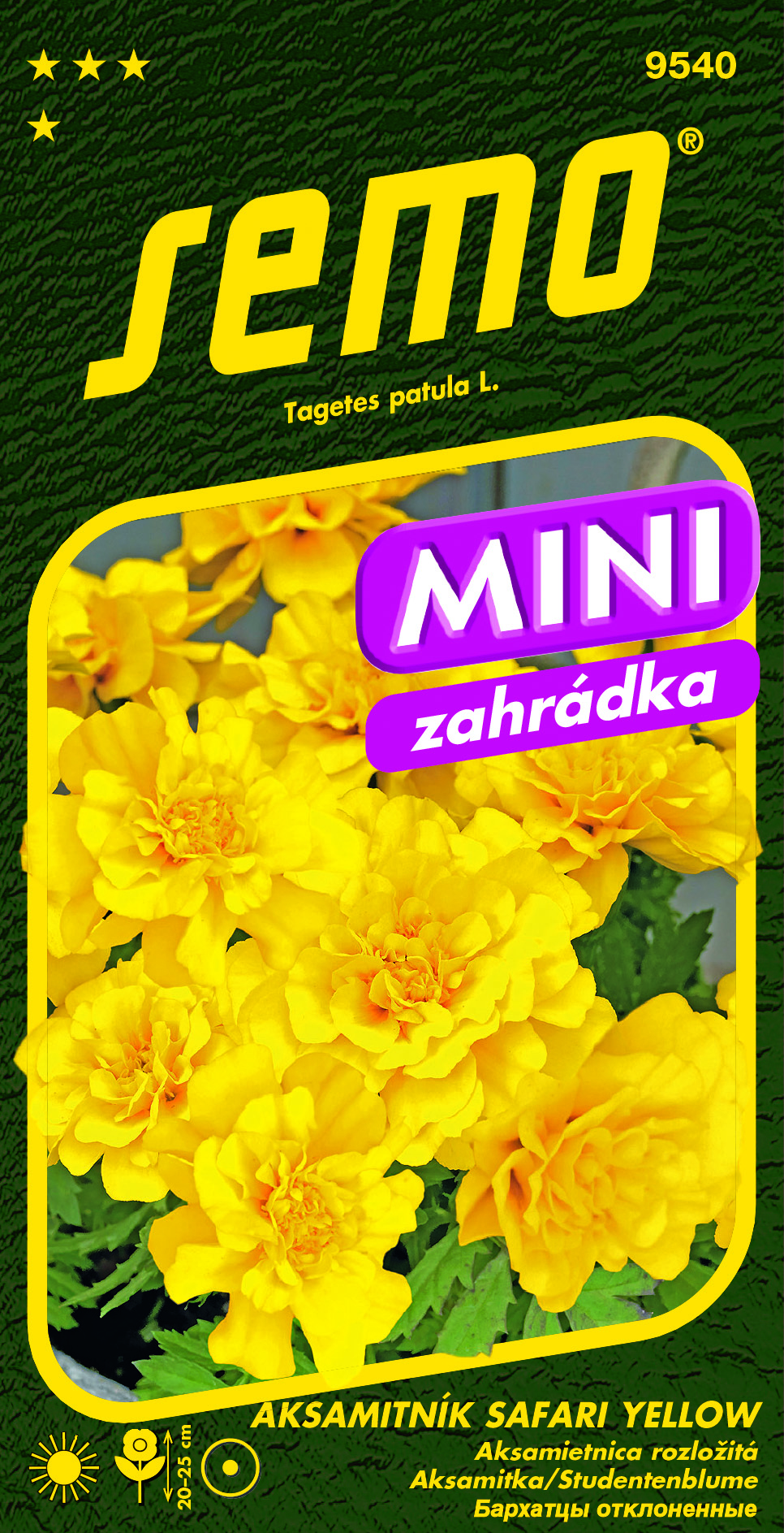 9540_aksamitník-SAFARI-YELLOW_MINI-2