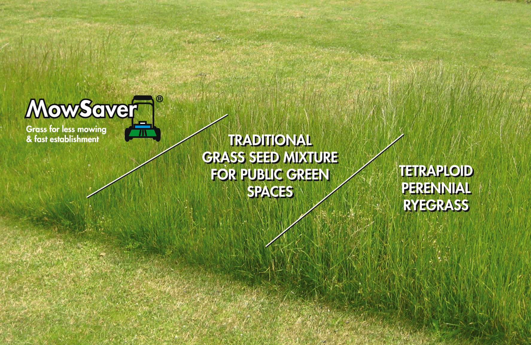 Image-MowSaver-comparisons-ENG