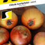 0572-Cibule-WINTERIA