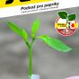 2599-Podnož-VITALPAPRIKA-F1_ROUBUJ