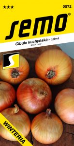 0572-Cibule-WINTERIA